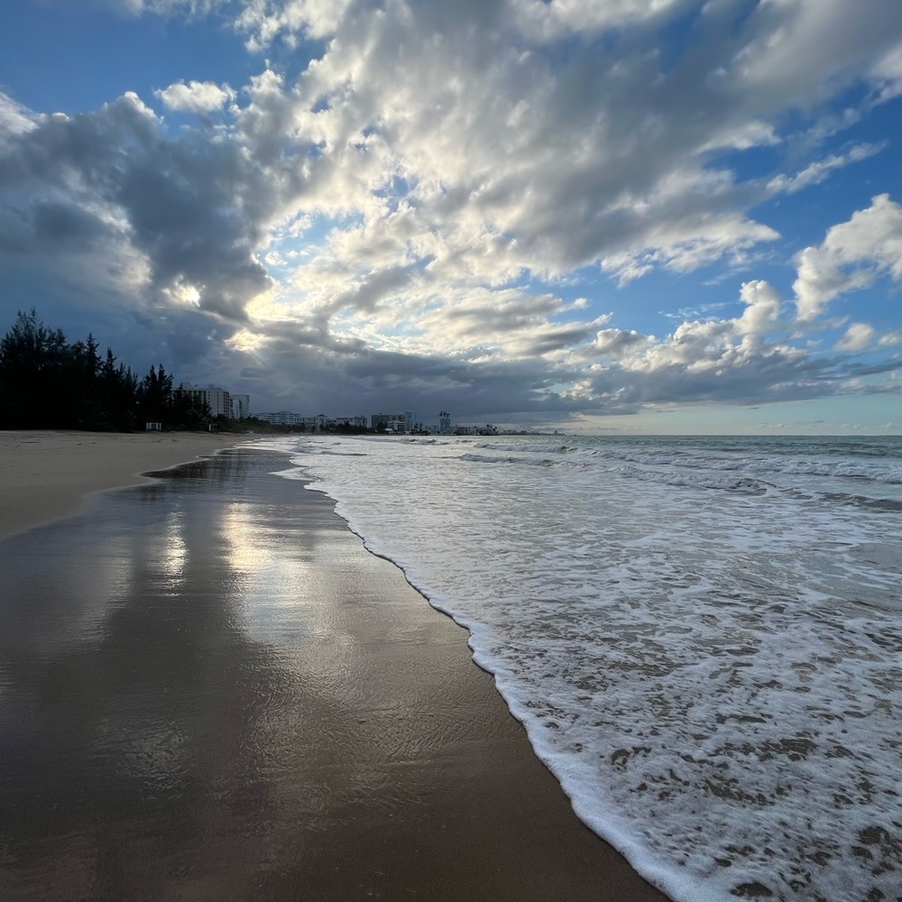 Meet your Posher, Brandy